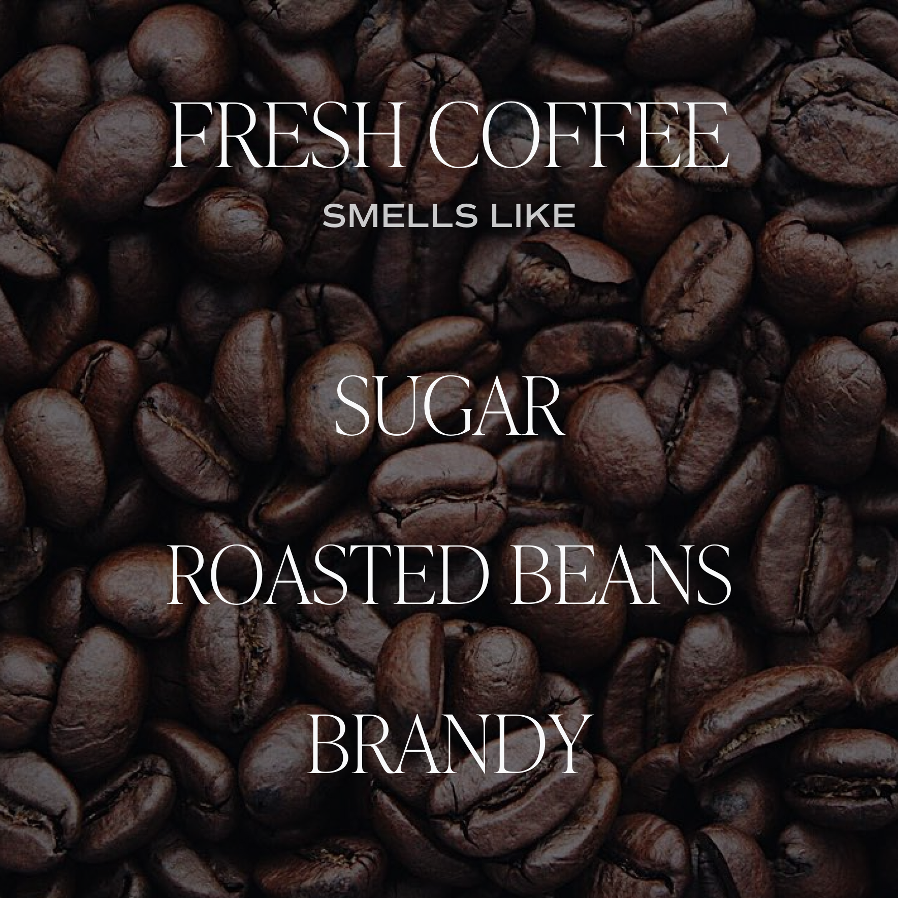 Fresh Coffee 12 oz Soy Candle - Home Decor &amp; Gifts