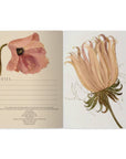 Soft Petals Notebook